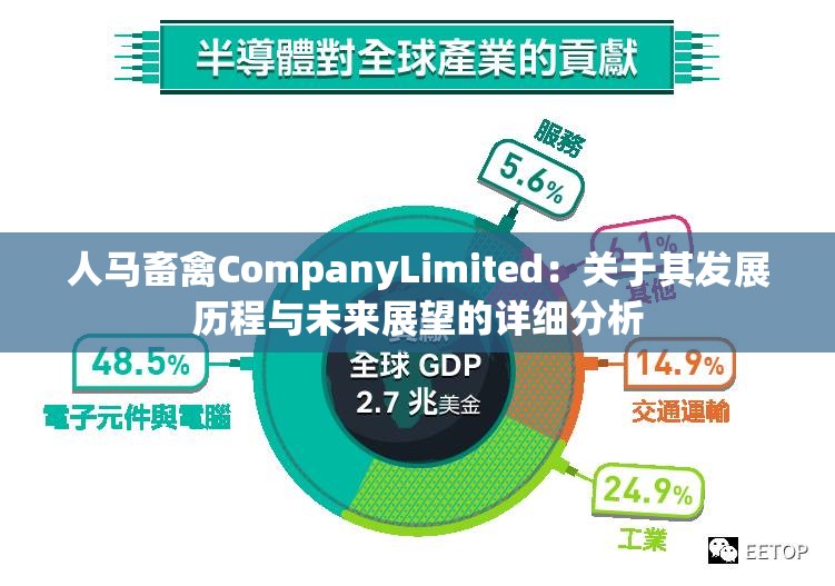 人马畜禽CompanyLimited：关于其发展历程与未来展望的详细分析