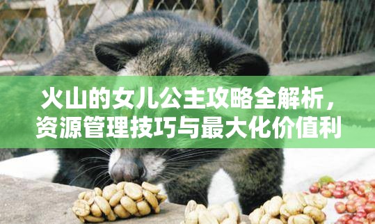 火山的女儿公主攻略全解析，资源管理技巧与最大化价值利用策略