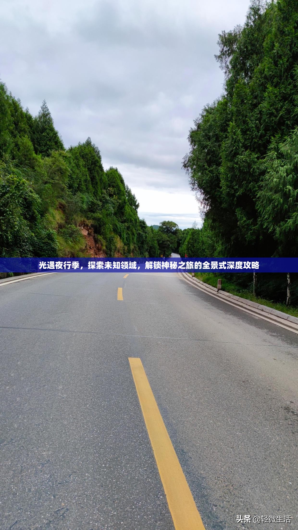 光遇夜行季，探索未知领域，解锁神秘之旅的全景式深度攻略