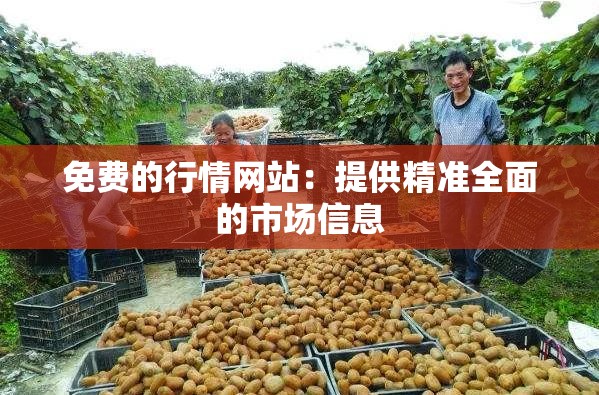 免费的行情网站：提供精准全面的市场信息