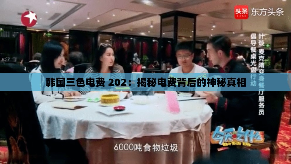 韩国三色电费 202：揭秘电费背后的神秘真相