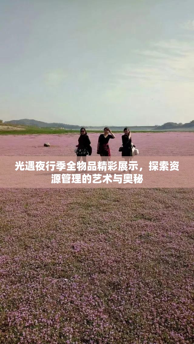 光遇夜行季全物品精彩展示，探索资源管理的艺术与奥秘
