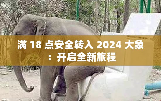 满 18 点安全转入 2024 大象：开启全新旅程