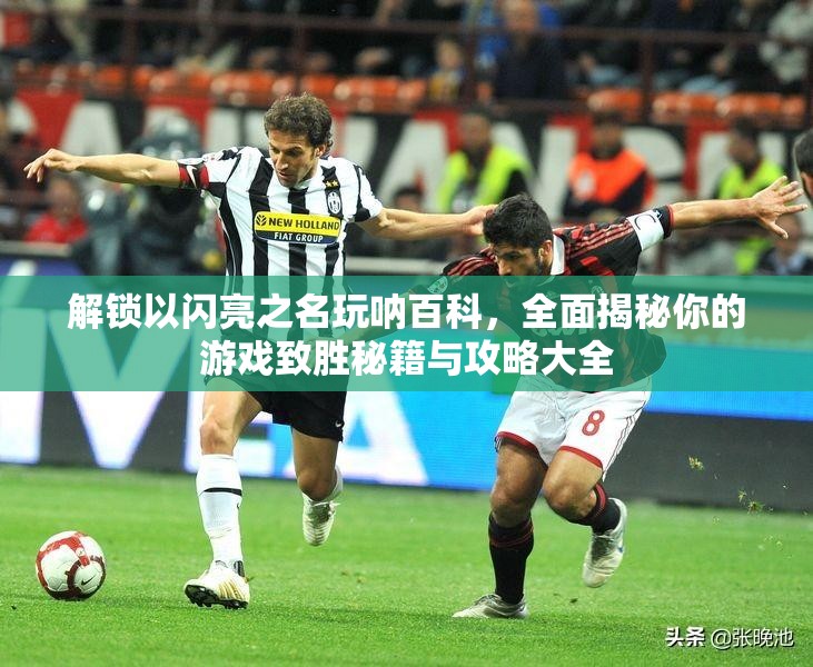 解锁以闪亮之名玩呐百科，全面揭秘你的游戏致胜秘籍与攻略大全