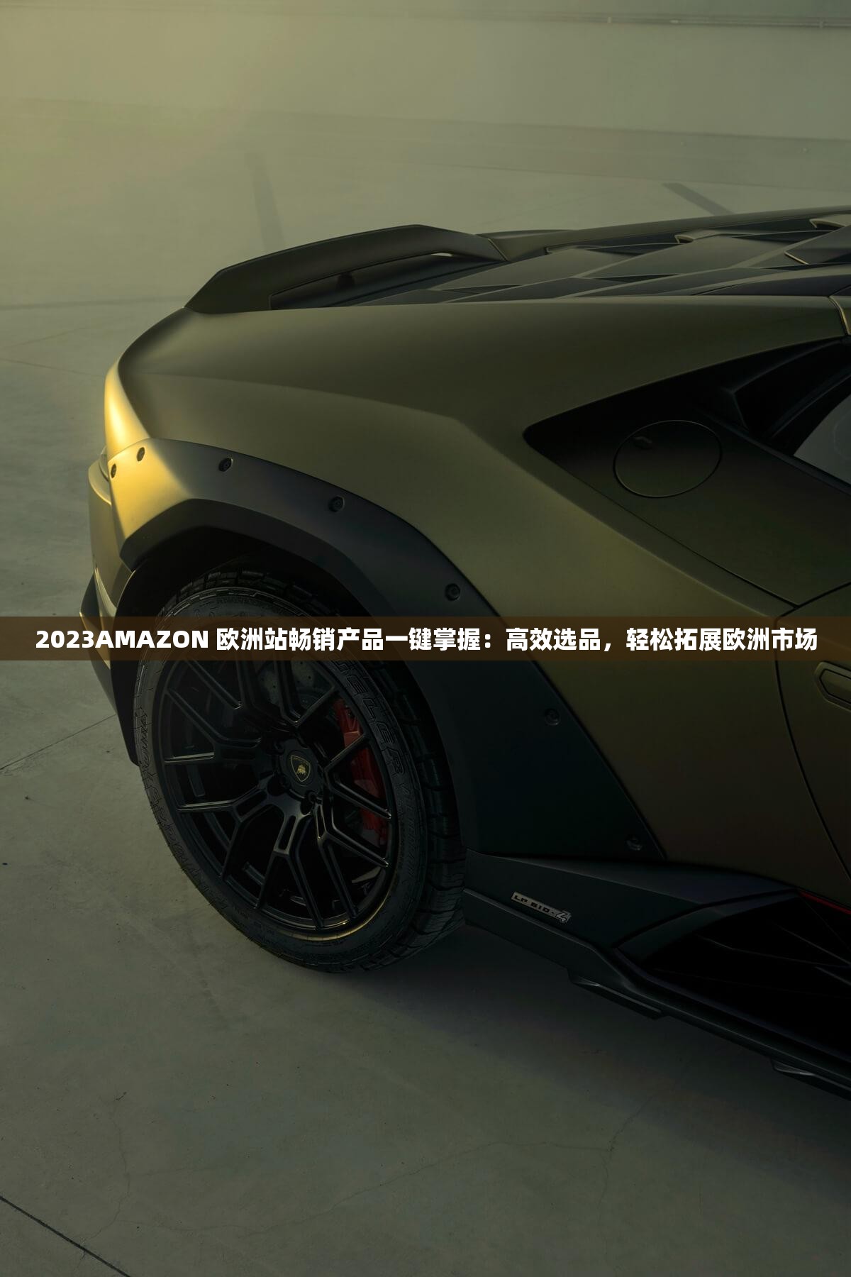 2023AMAZON 欧洲站畅销产品一键掌握：高效选品，轻松拓展欧洲市场