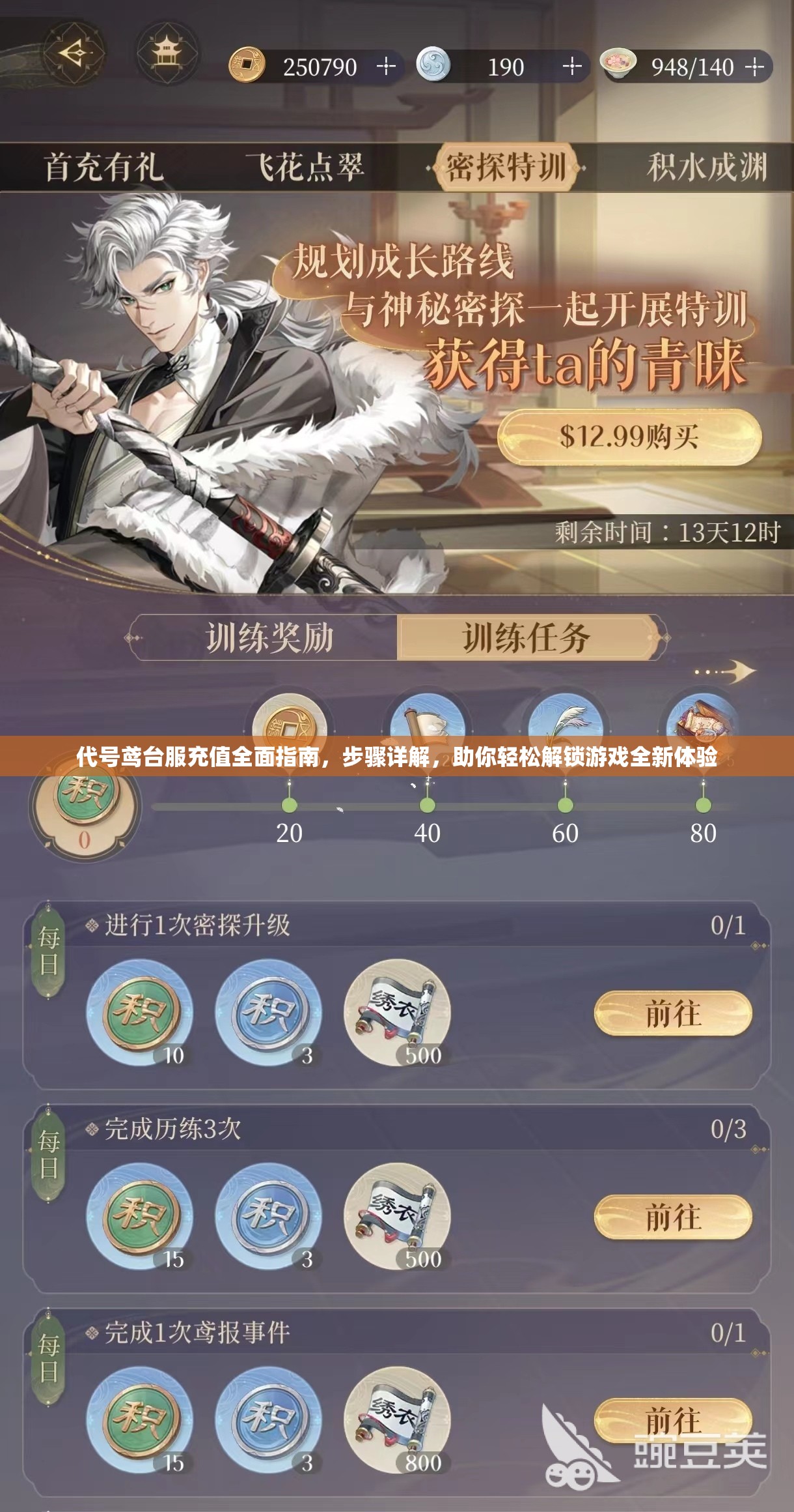 代号鸢台服充值全面指南，步骤详解，助你轻松解锁游戏全新体验