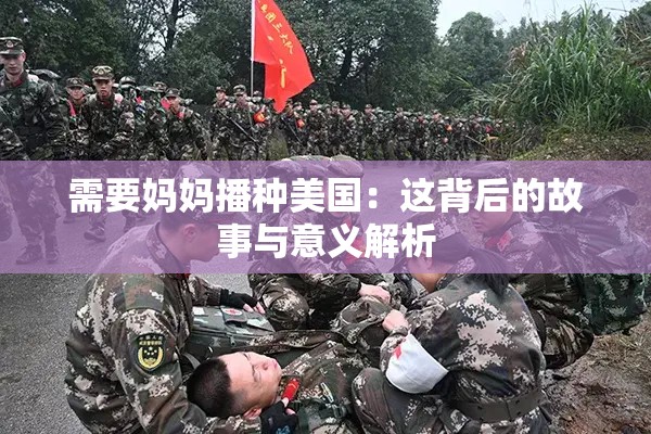 需要妈妈播种美国：这背后的故事与意义解析