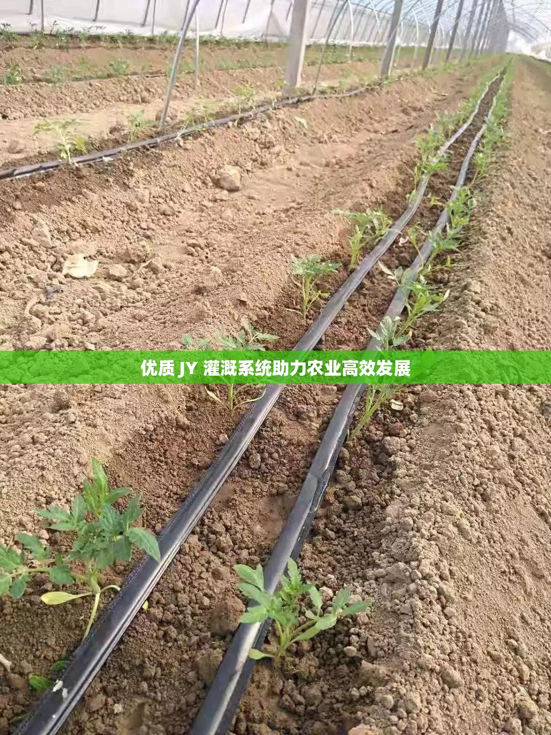 优质 JY 灌溉系统助力农业高效发展