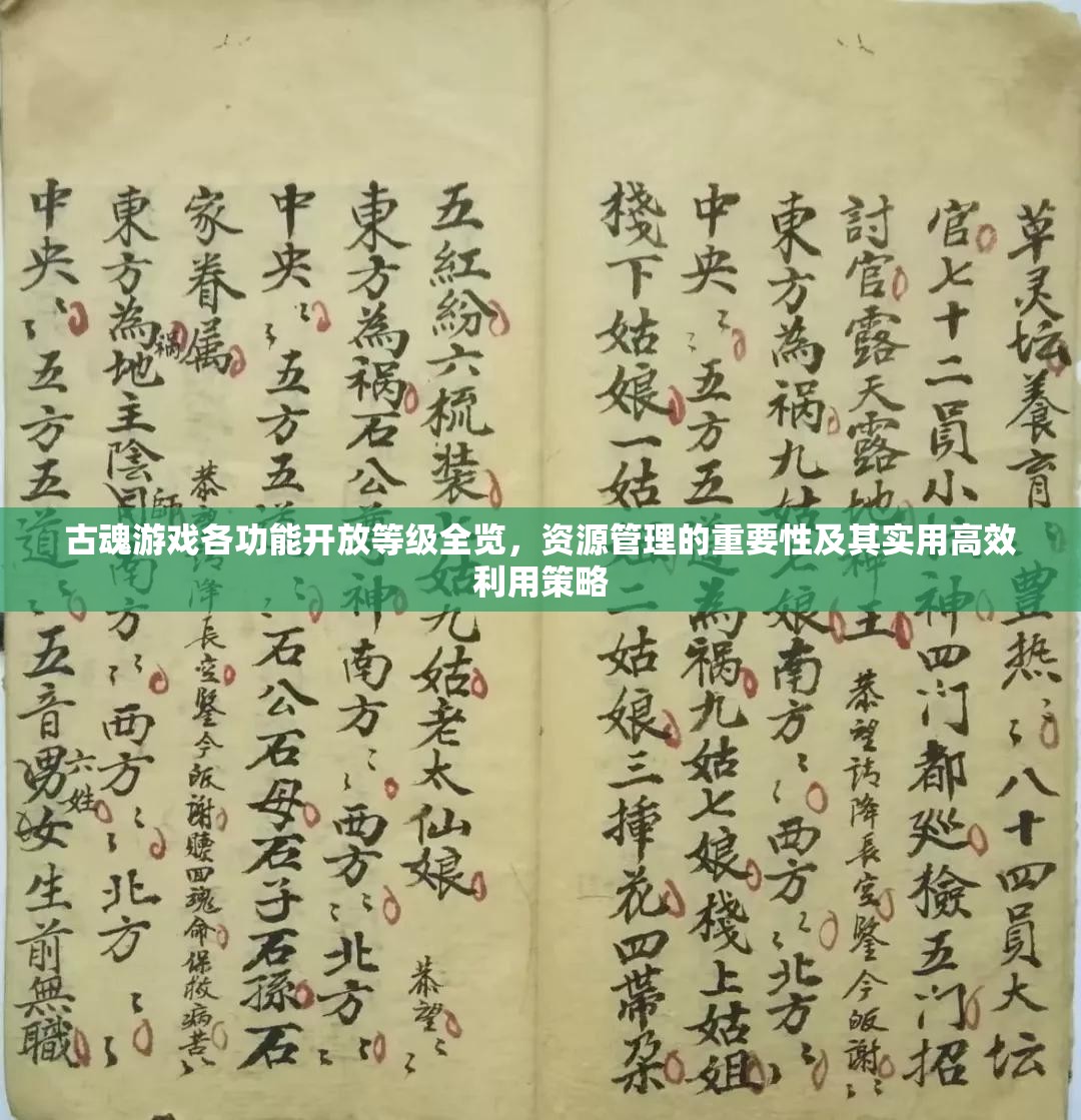 古魂游戏各功能开放等级全览，资源管理的重要性及其实用高效利用策略