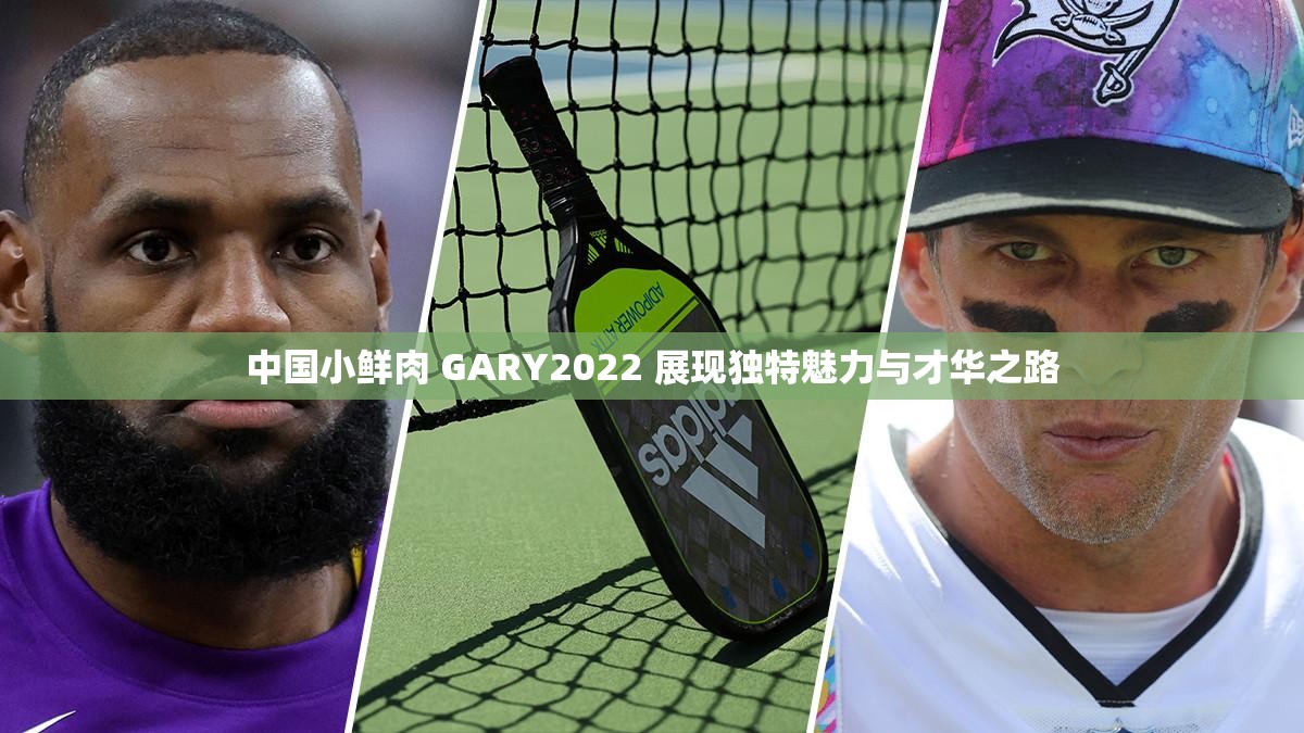 中国小鲜肉 GARY2022 展现独特魅力与才华之路
