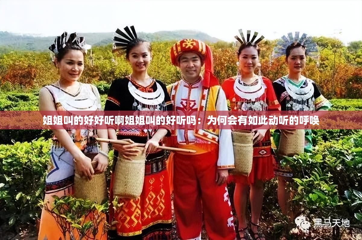 姐姐叫的好好听啊姐姐叫的好听吗：为何会有如此动听的呼唤