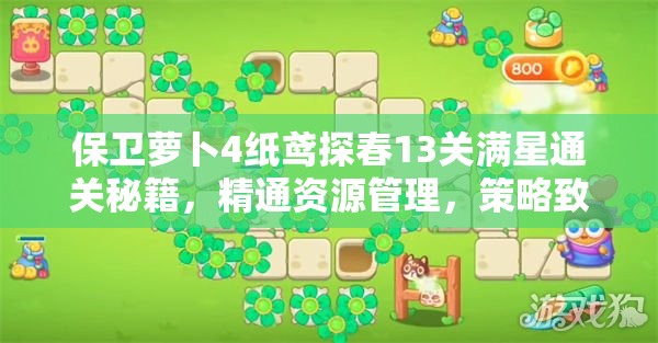 保卫萝卜4纸鸢探春13关满星通关秘籍，精通资源管理，策略致胜的艺术