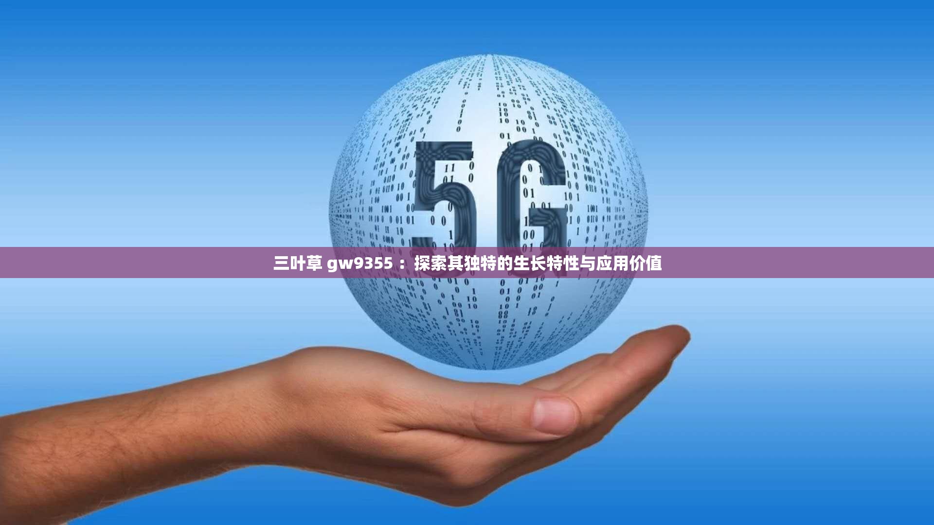 三叶草 gw9355 ：探索其独特的生长特性与应用价值