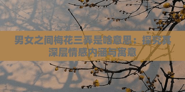 男女之间梅花三弄是啥意思：探究其深层情感内涵与寓意