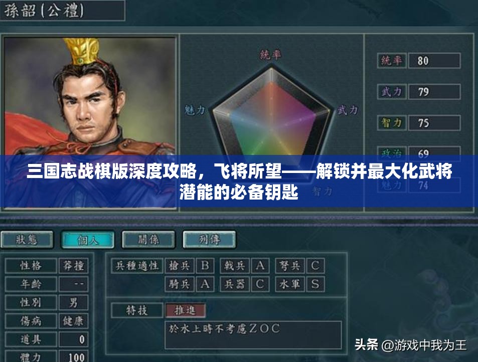 三国志战棋版深度攻略，飞将所望——解锁并最大化武将潜能的必备钥匙