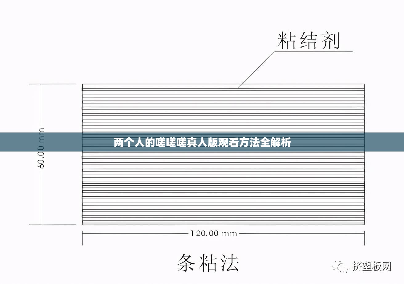 两个人的嗟嗟嗟真人版观看方法全解析