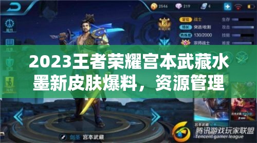 2023王者荣耀宫本武藏水墨新皮肤爆料，资源管理视角下的全方位深度解析