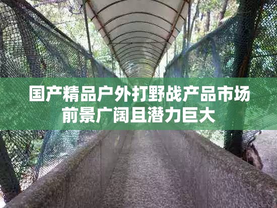 国产精品户外打野战产品市场前景广阔且潜力巨大