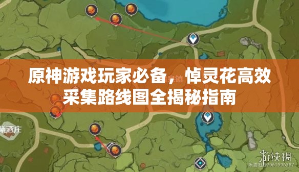 原神游戏玩家必备，悼灵花高效采集路线图全揭秘指南