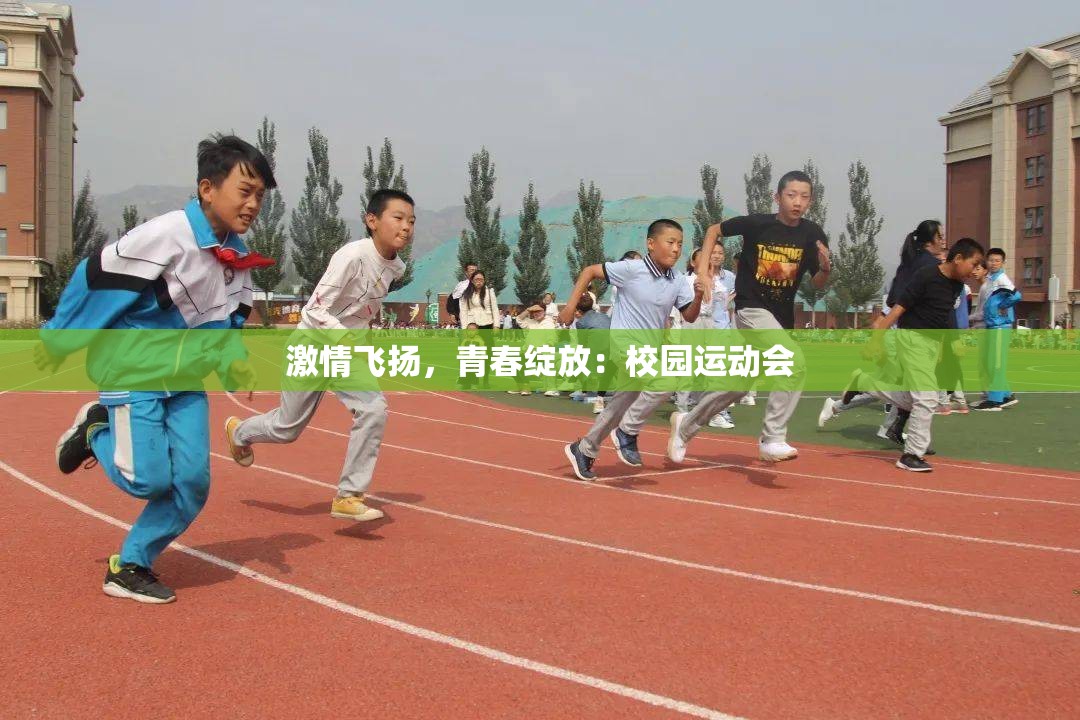 激情飞扬，青春绽放：校园运动会