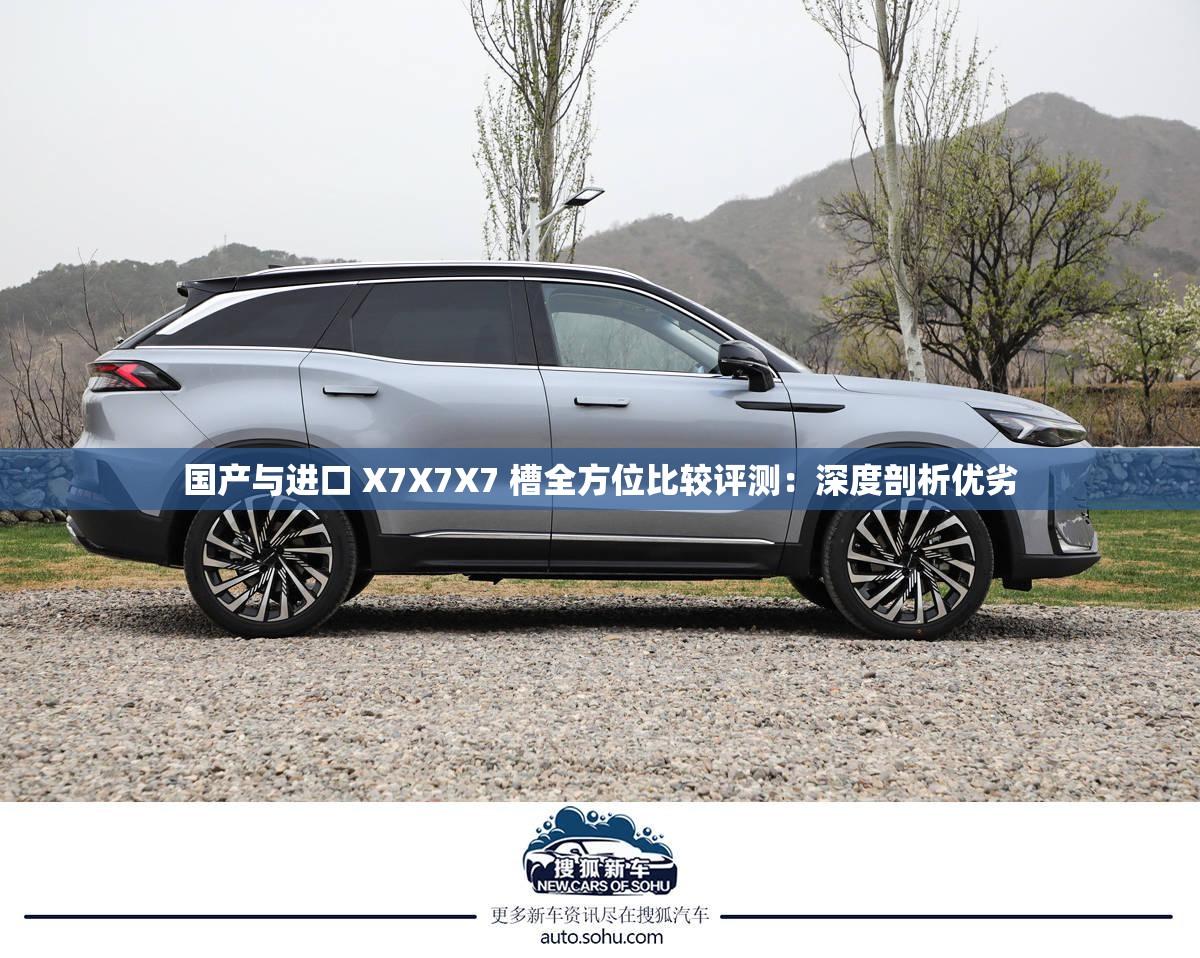 国产与进口 X7X7X7 槽全方位比较评测：深度剖析优劣