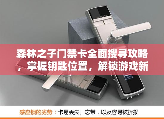 森林之子门禁卡全面搜寻攻略，掌握钥匙位置，解锁游戏新世界的大门