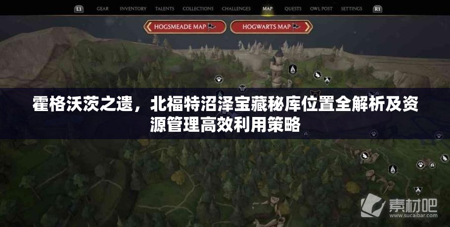 霍格沃茨之遗，北福特沼泽宝藏秘库位置全解析及资源管理高效利用策略