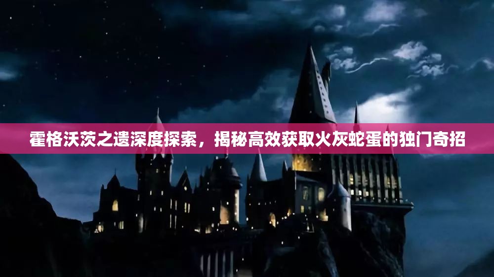 霍格沃茨之遗深度探索，揭秘高效获取火灰蛇蛋的独门奇招