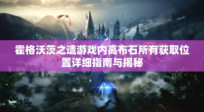 霍格沃茨之遗游戏内高布石所有获取位置详细指南与揭秘