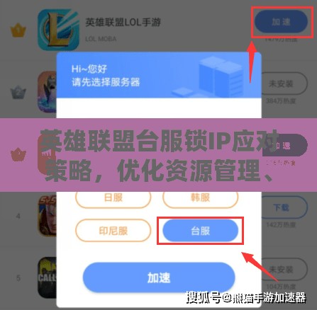 英雄联盟台服锁IP应对策略，优化资源管理、实现高效利用并避免资源浪费