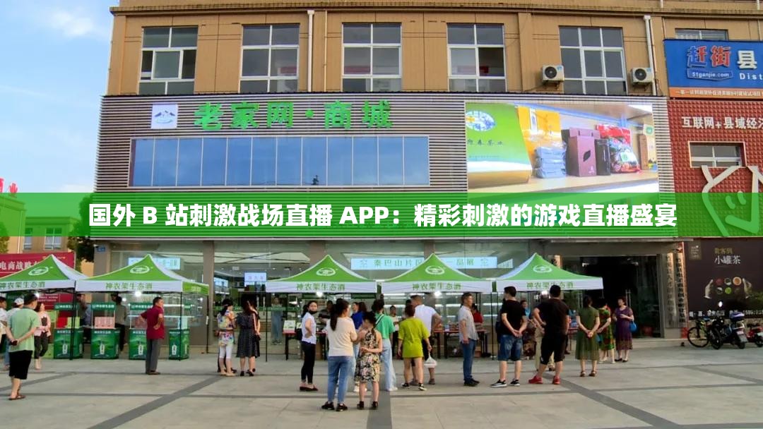 国外 B 站刺激战场直播 APP：精彩刺激的游戏直播盛宴