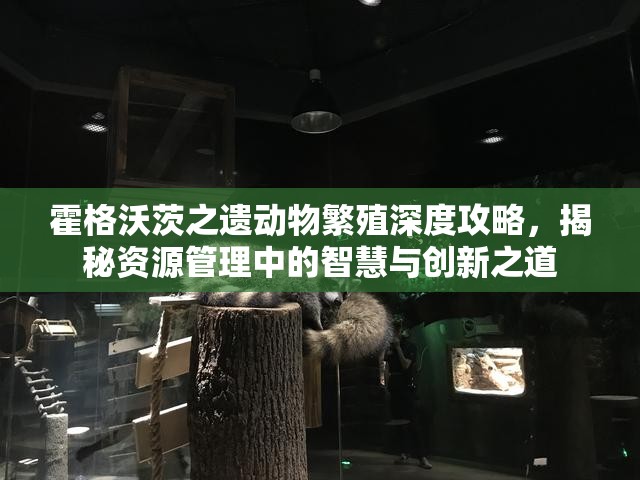 霍格沃茨之遗动物繁殖深度攻略，揭秘资源管理中的智慧与创新之道