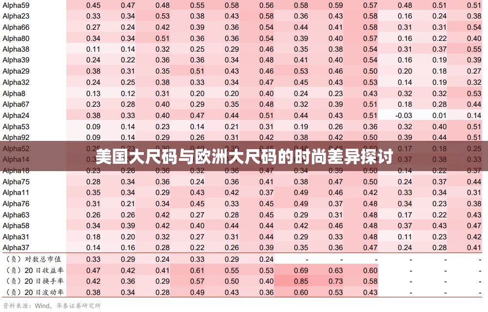 美国大尺码与欧洲大尺码的时尚差异探讨