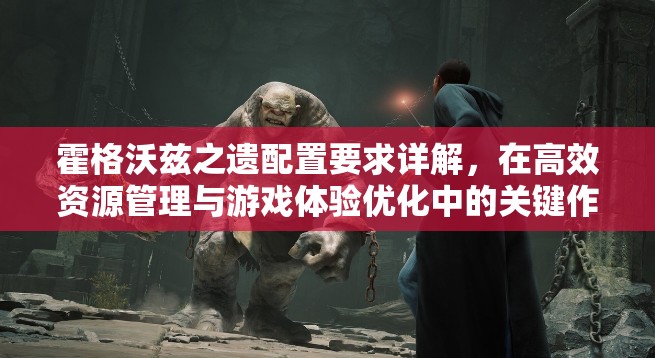 霍格沃兹之遗配置要求详解，在高效资源管理与游戏体验优化中的关键作用