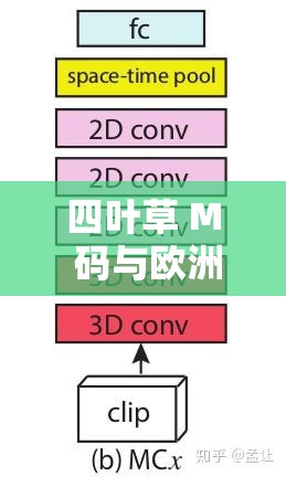 四叶草 M 码与欧洲码的区别：深入探究尺码体系差异