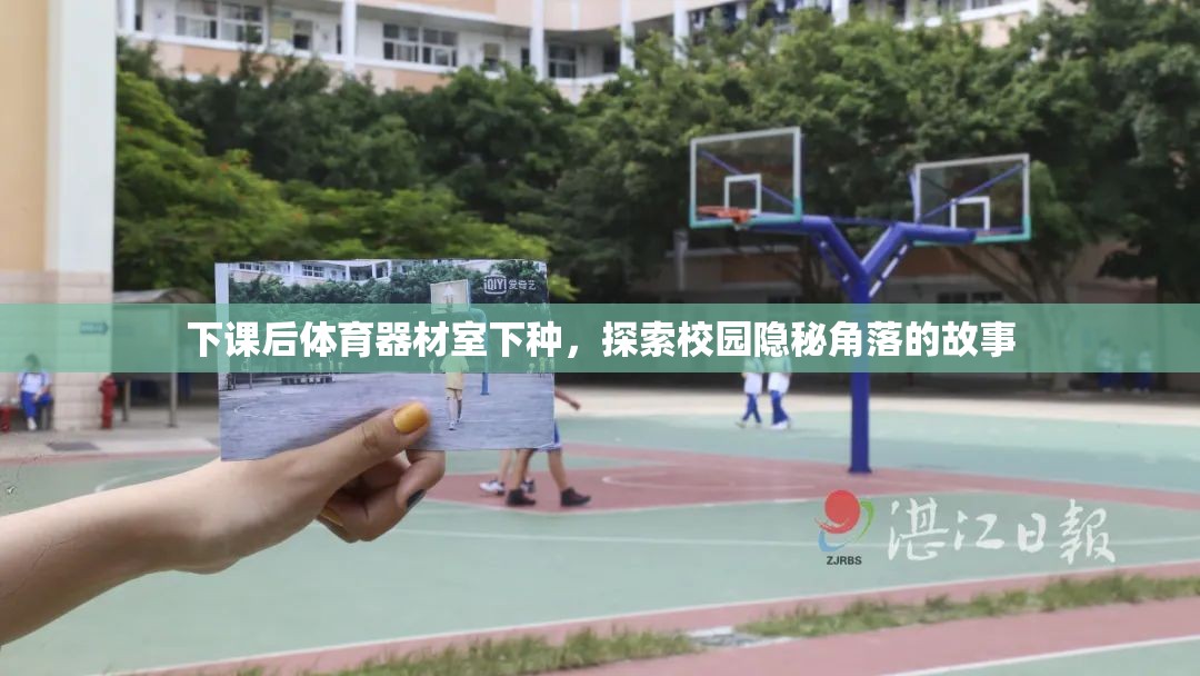 下课后体育器材室下种，探索校园隐秘角落的故事
