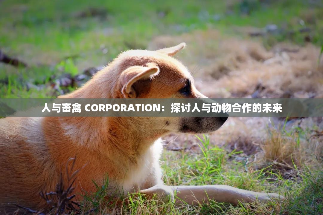 人与畜禽 CORPORATION：探讨人与动物合作的未来