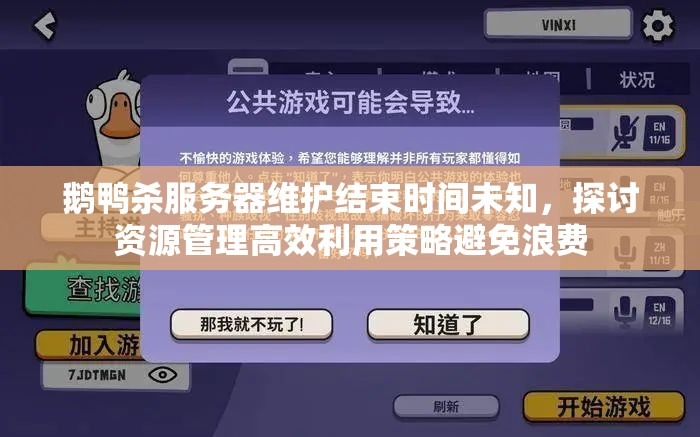 鹅鸭杀服务器维护结束时间未知，探讨资源管理高效利用策略避免浪费