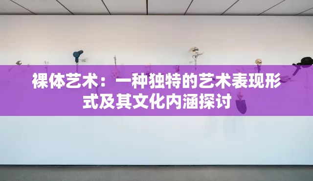 裸体艺术：一种独特的艺术表现形式及其文化内涵探讨