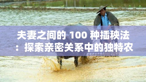 夫妻之间的 100 种插秧法：探索亲密关系中的独特农耕技巧与情感融合