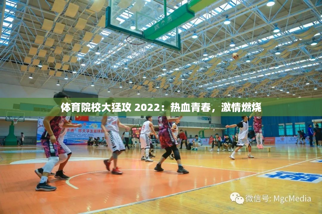 体育院校大猛攻 2022：热血青春，激情燃烧