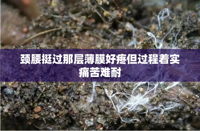 颈腰挺过那层薄膜好疼但过程着实痛苦难耐