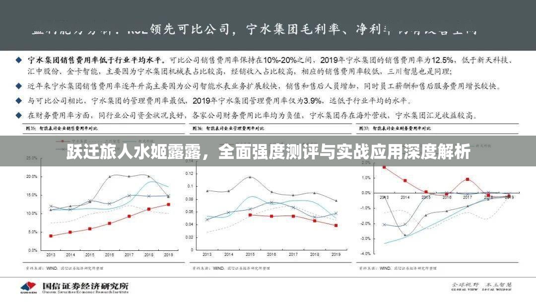 跃迁旅人水姬露露，全面强度测评与实战应用深度解析