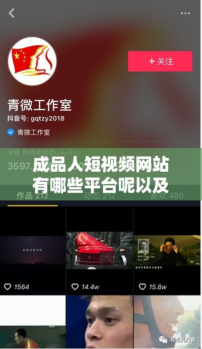 成品人短视频网站有哪些平台呢以及相关介绍和推荐