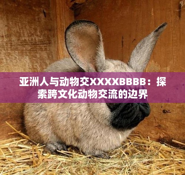 亚洲人与动物交XXXXBBBB：探索跨文化动物交流的边界
