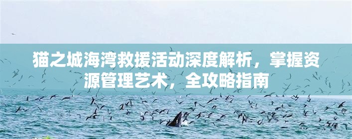 猫之城海湾救援活动深度解析，掌握资源管理艺术，全攻略指南