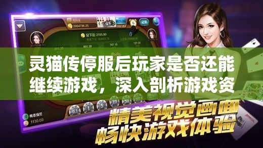 灵猫传停服后玩家是否还能继续游戏，深入剖析游戏资源管理策略