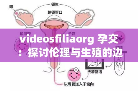 videosfiliaorg 孕交：探讨伦理与生殖的边界