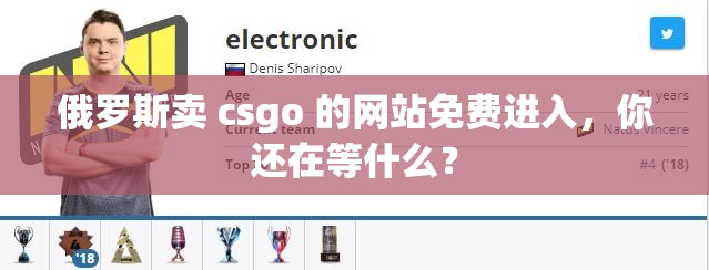 俄罗斯卖 csgo 的网站免费进入，你还在等什么？