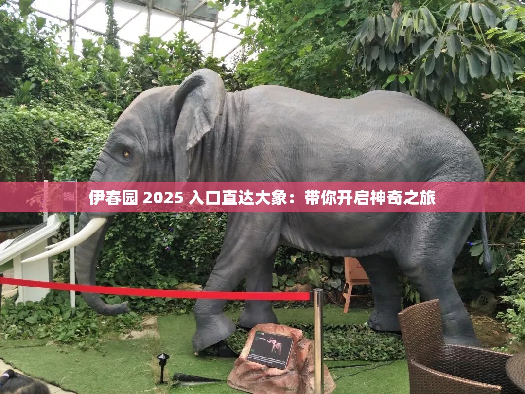 伊春园 2025 入口直达大象：带你开启神奇之旅